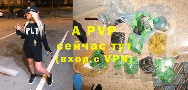 a pvp Аркадак